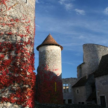 Chateau D'Ingrandes Ingrandes  Exterior photo