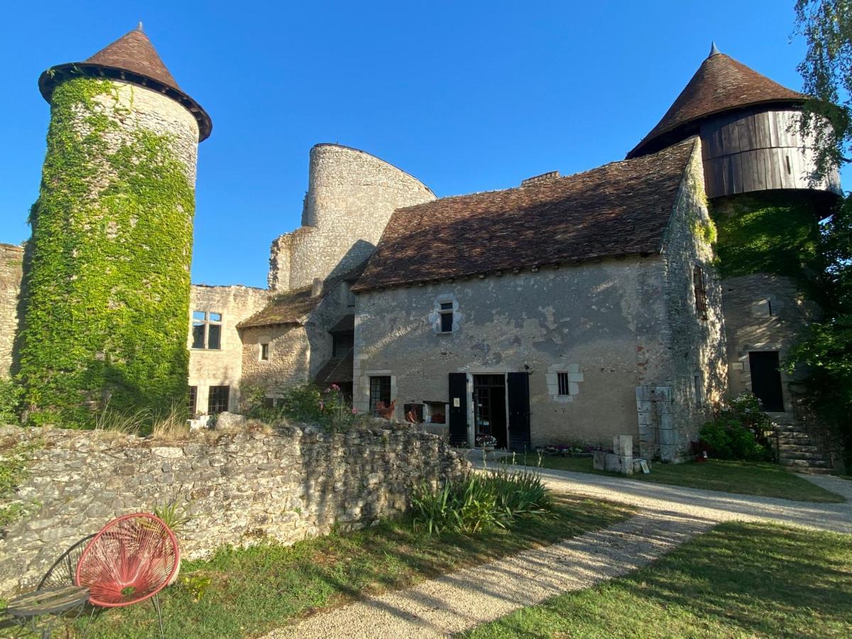 Chateau D'Ingrandes Ingrandes  Exterior photo