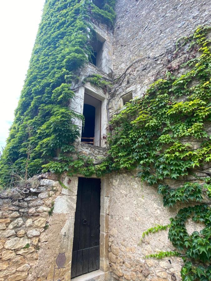 Chateau D'Ingrandes Ingrandes  Exterior photo