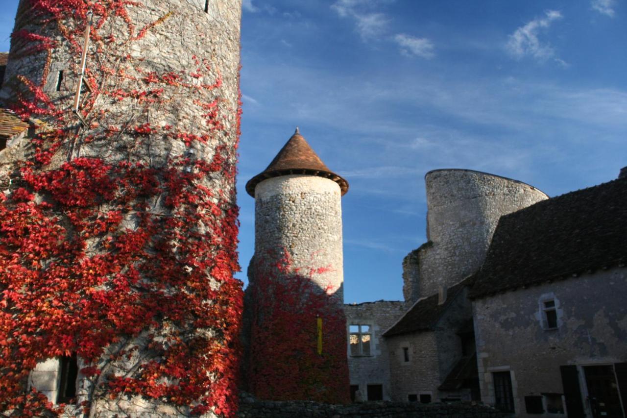Chateau D'Ingrandes Ingrandes  Exterior photo