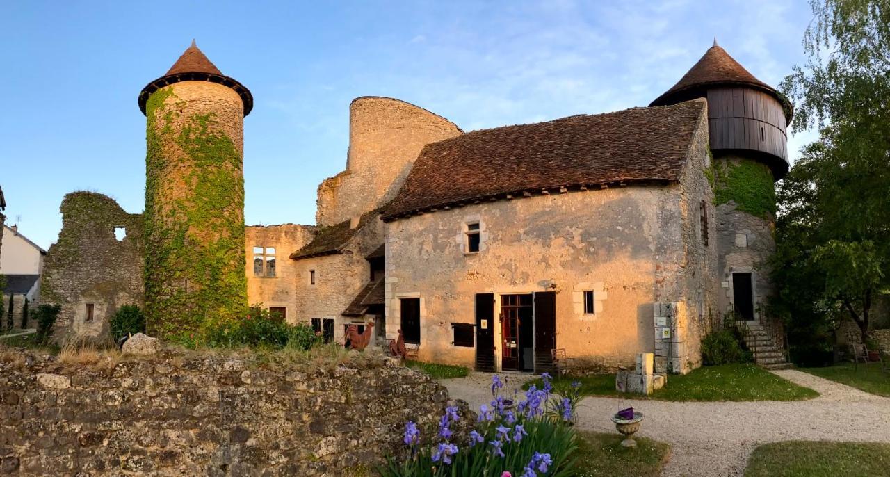 Chateau D'Ingrandes Ingrandes  Exterior photo
