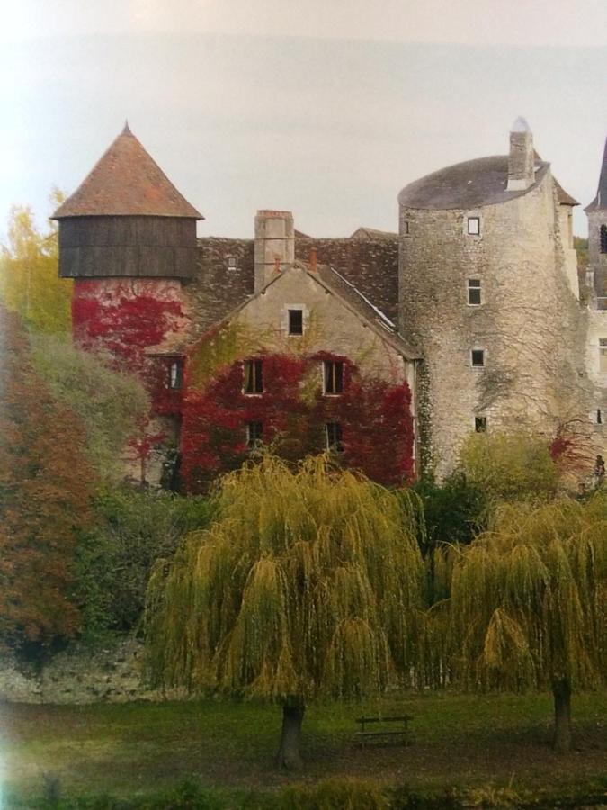 Chateau D'Ingrandes Ingrandes  Exterior photo