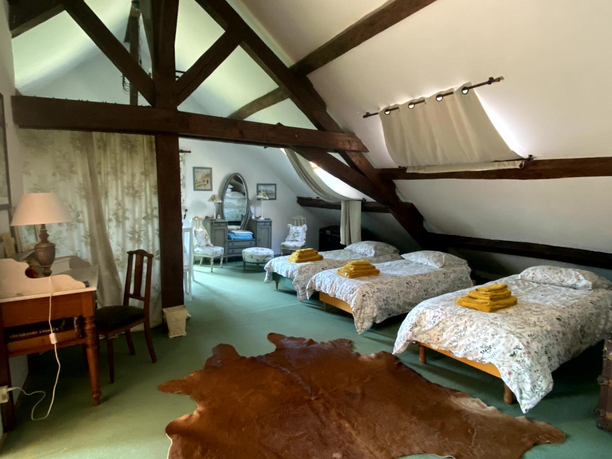 Chateau D'Ingrandes Ingrandes  Room photo