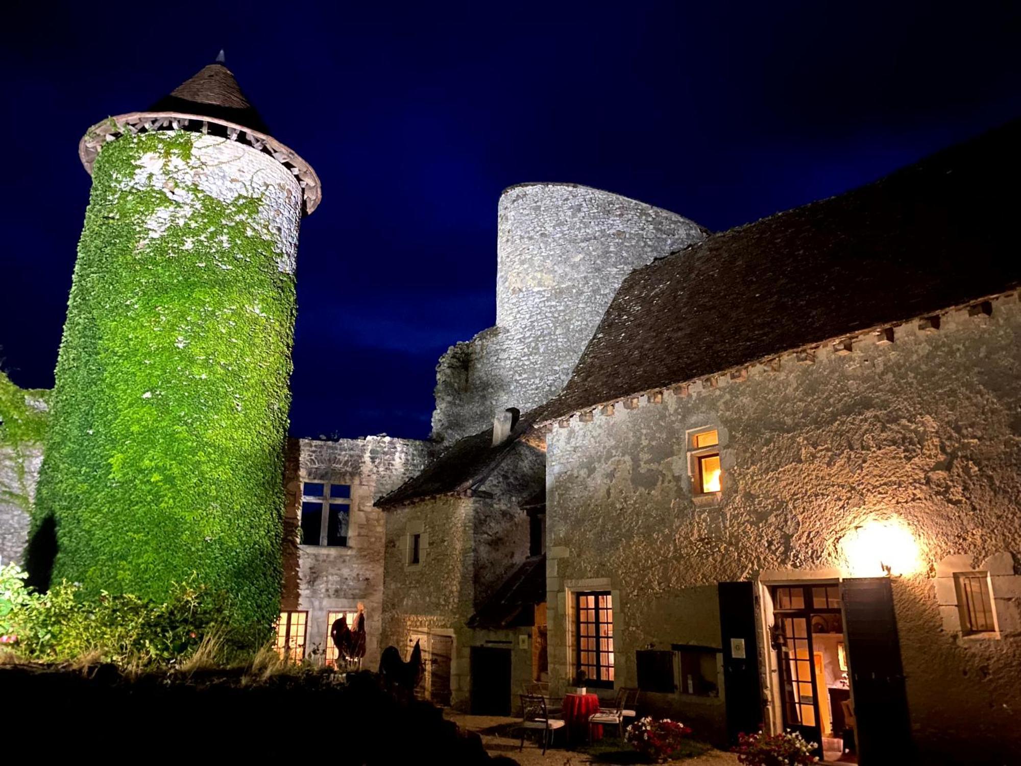 Chateau D'Ingrandes Ingrandes  Exterior photo