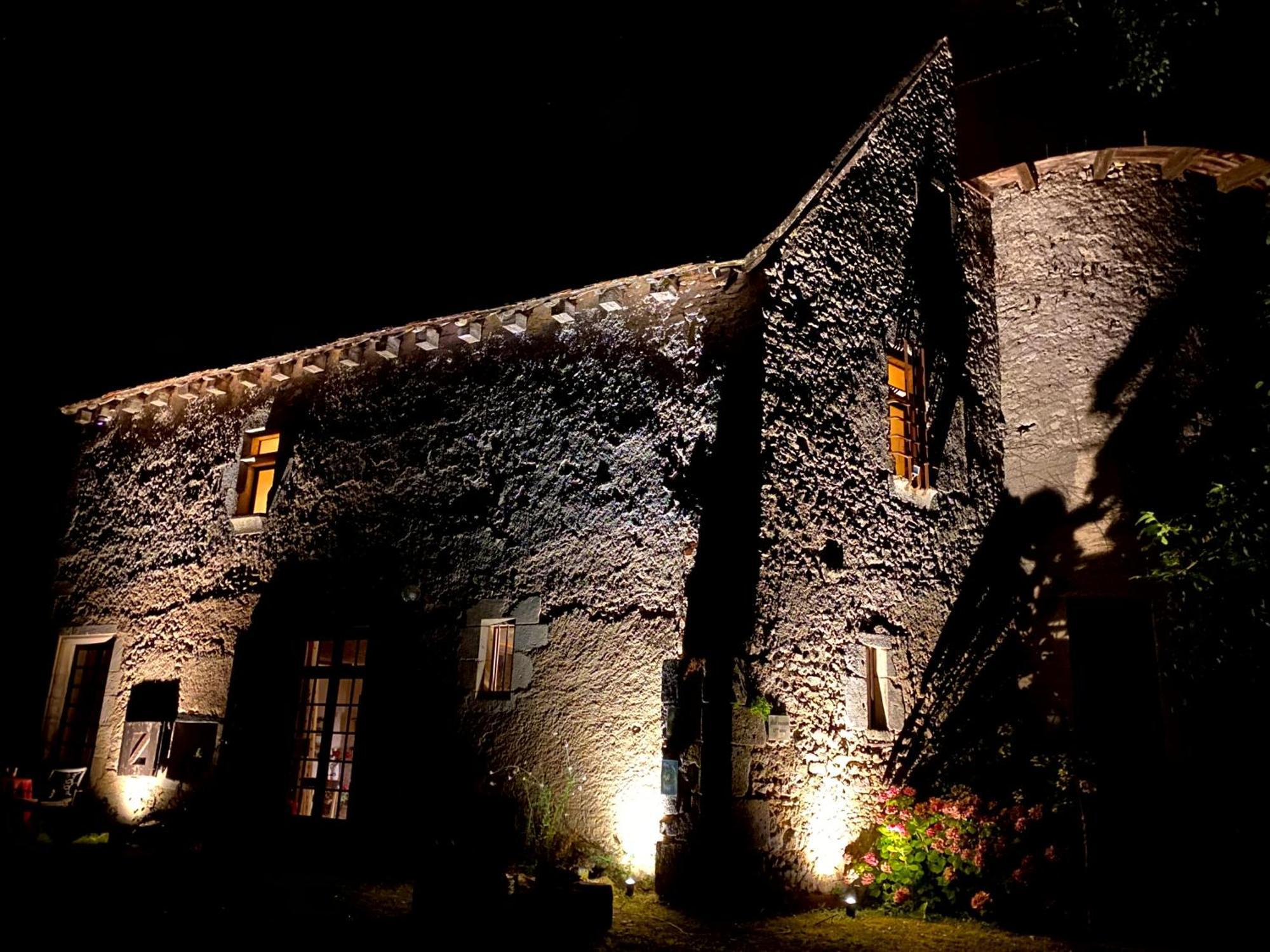 Chateau D'Ingrandes Ingrandes  Exterior photo